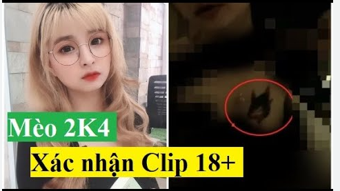 Lộ Đoạn Video Sex Mèo 2k4 Với Bạn Trai